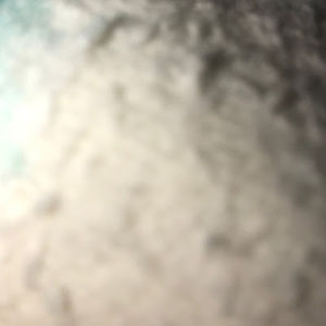 Meet your Posher, Marlee